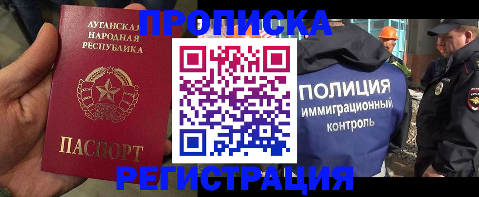 прописка поиск в Тынде